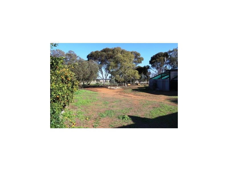 5 Speewa Road, Koraleigh NSW 2735