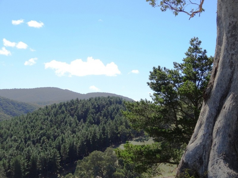 Bonnie Doon VIC 3720