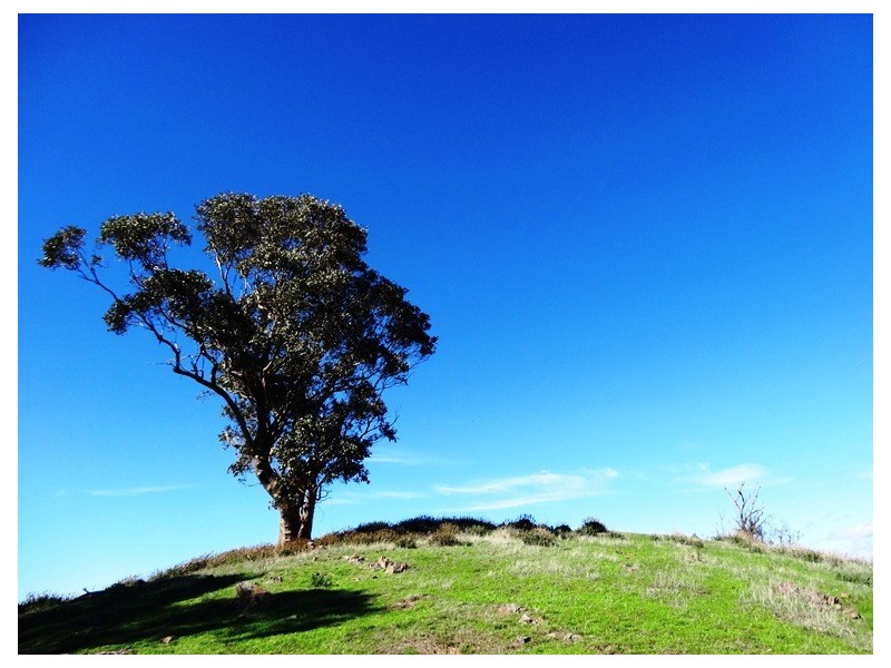 Bonnie Doon VIC 3720