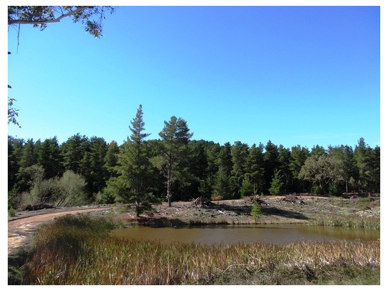 Bonnie Doon VIC 3720