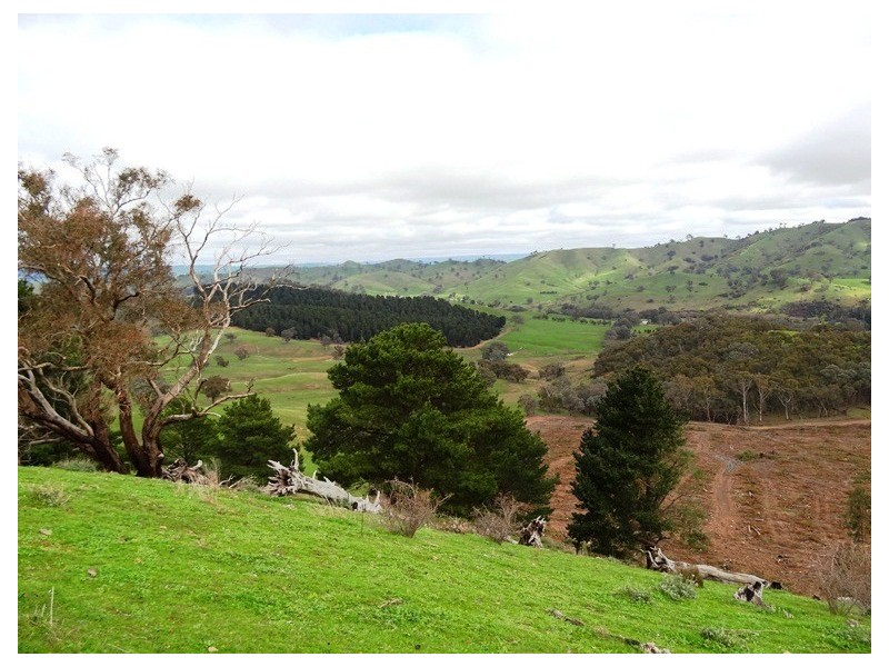 Bonnie Doon VIC 3720