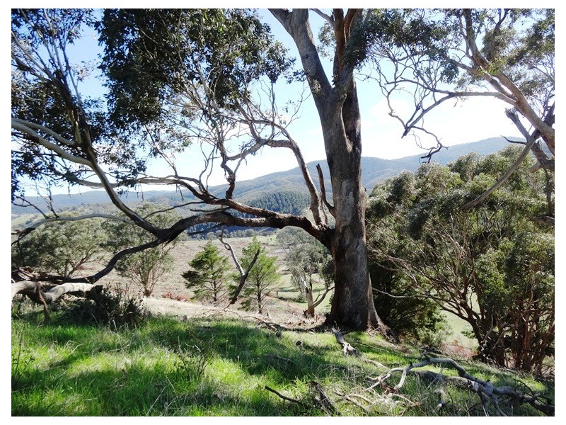 Bonnie Doon VIC 3720