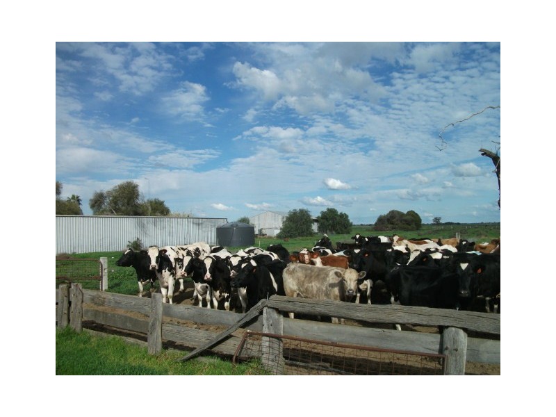 00 Barham Wakool Road, Barham NSW 2732