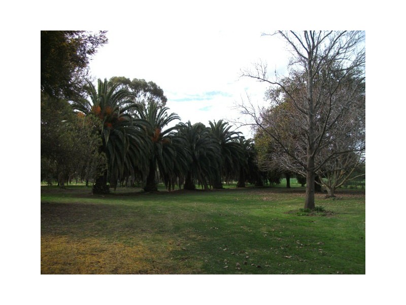 00 Barham Wakool Road, Barham NSW 2732