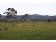 Halls Gap VIC 3381