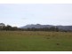 Halls Gap VIC 3381