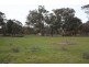 Halls Gap VIC 3381