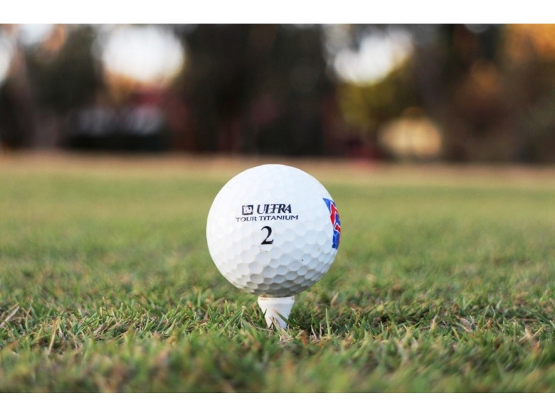 21 Goldfinch Court – MURRAY DOWNS, Swan Hill VIC 3585