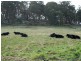 Strathbogie VIC 3666