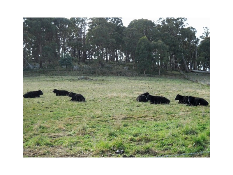 Strathbogie VIC 3666