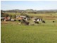 Strathbogie VIC 3666