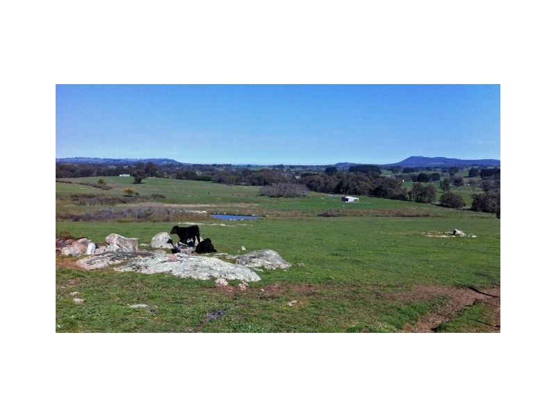 Strathbogie VIC 3666