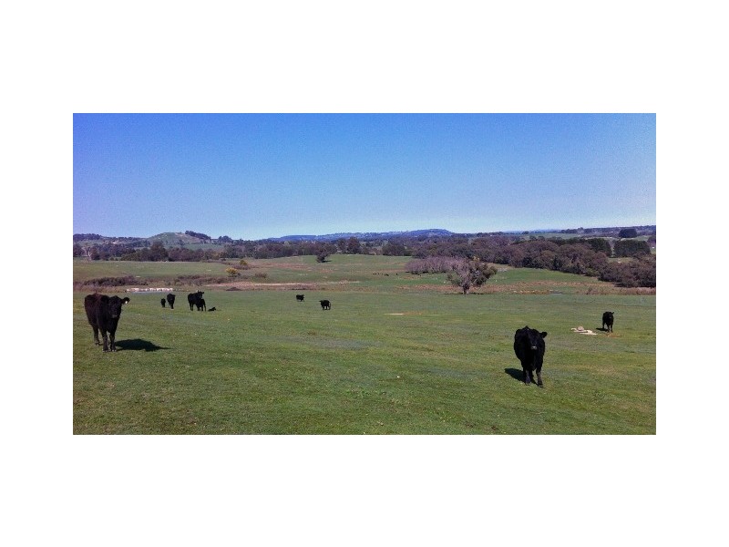 Strathbogie VIC 3666