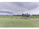 Maffra VIC 3860