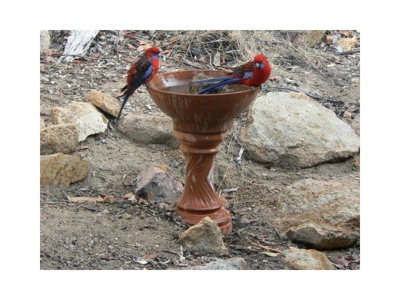 502 Longwood/Ruffy Road, Euroa VIC 3666