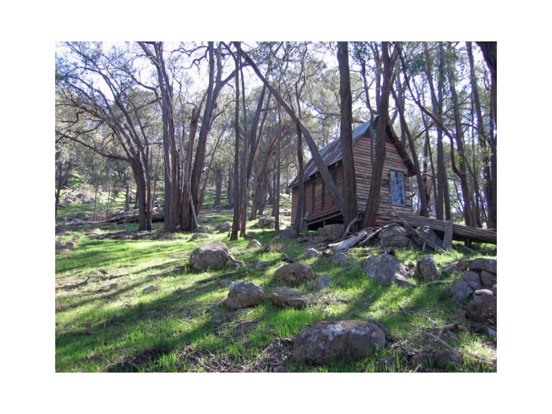 502 Longwood/Ruffy Road, Euroa VIC 3666