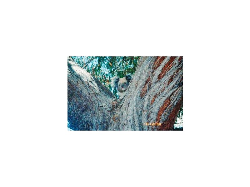 502 Longwood/Ruffy Road, Euroa VIC 3666