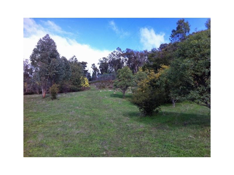 502 Longwood/Ruffy Road, Euroa VIC 3666