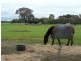 Echuca VIC 3564