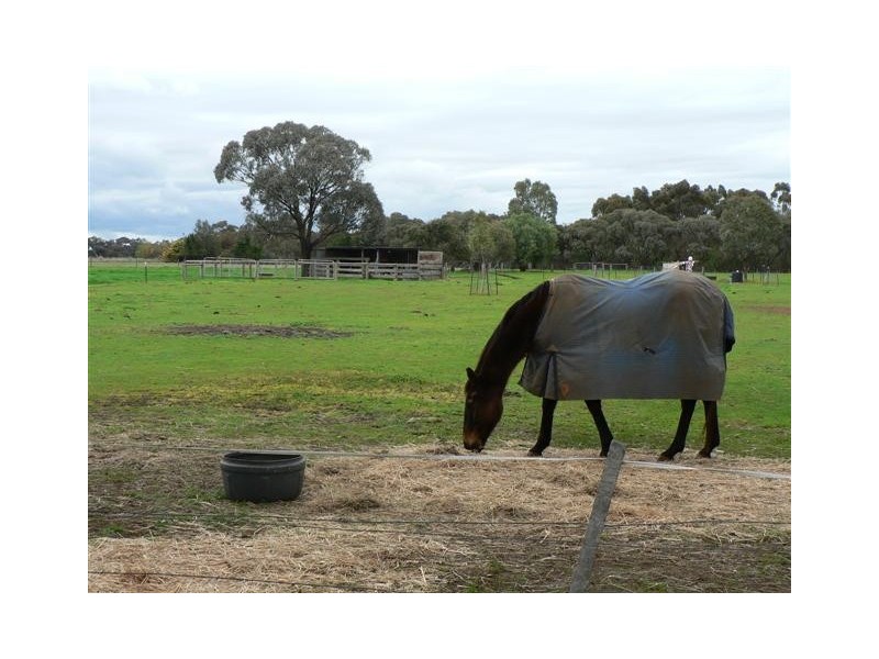Echuca VIC 3564