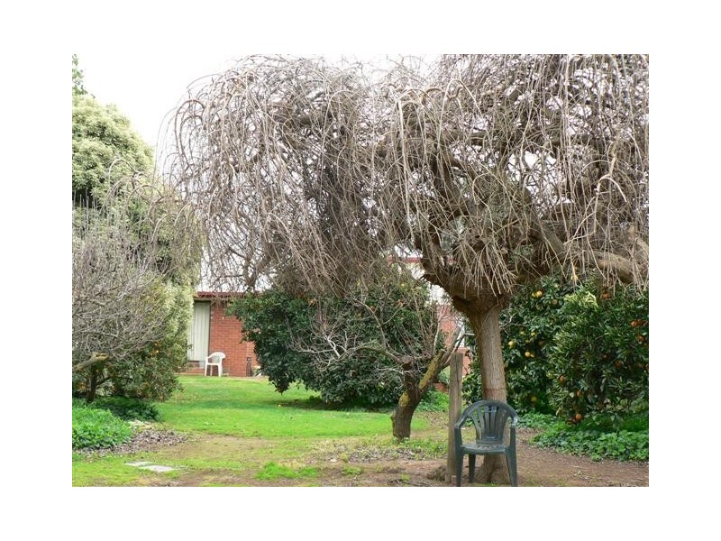 Echuca VIC 3564