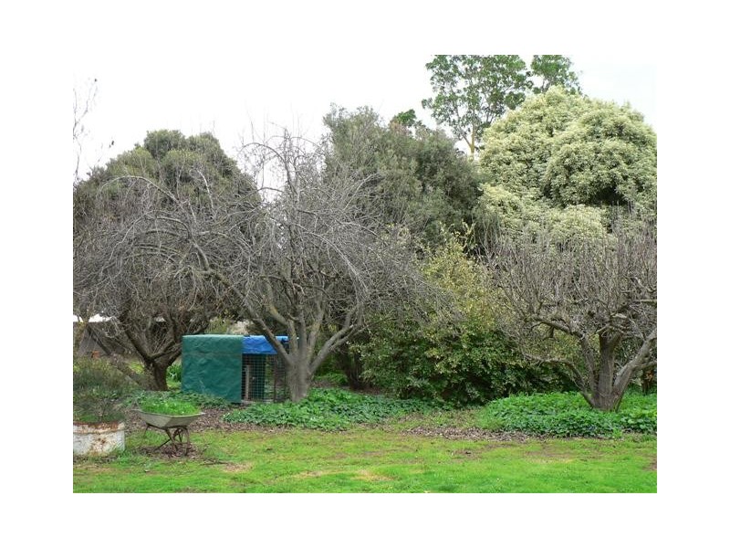 Echuca VIC 3564