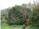 Echuca VIC 3564