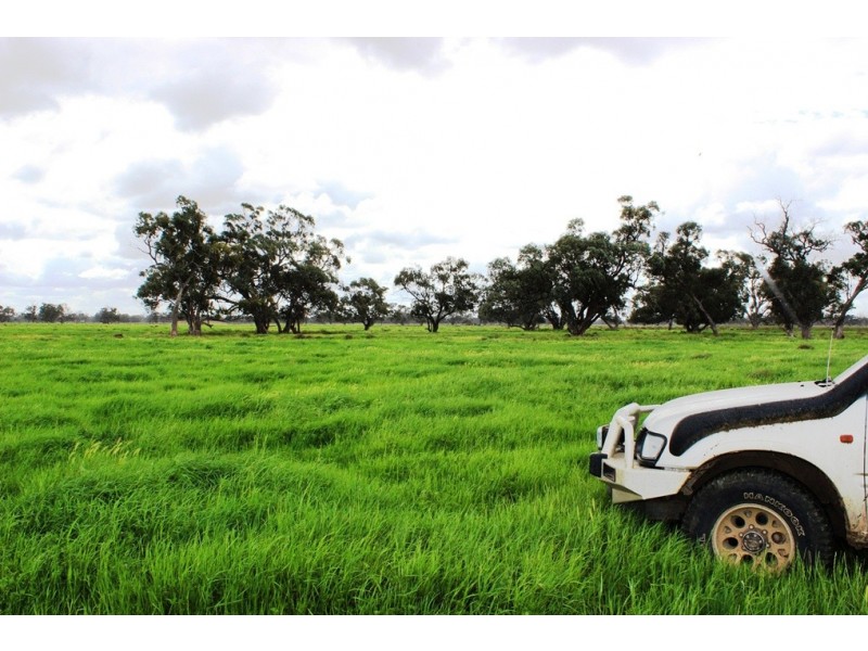 5960 Deniliquin Road, Barham NSW 2732
