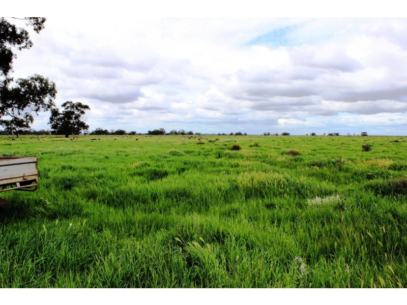 5960 Deniliquin Road, Barham NSW 2732