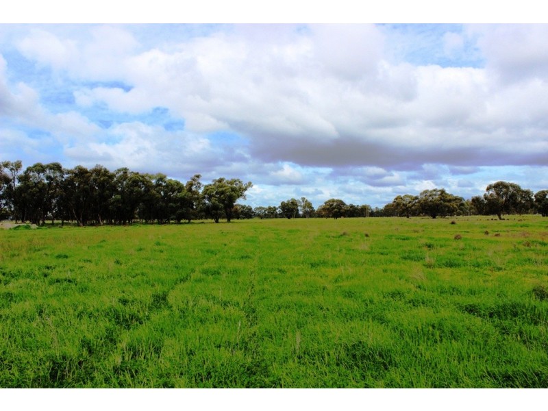 5960 Deniliquin Road, Barham NSW 2732