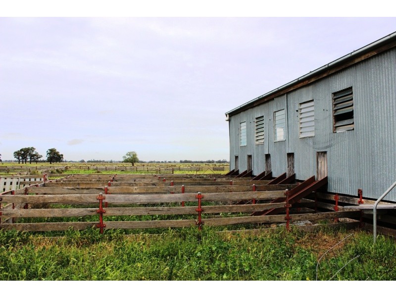5960 Deniliquin Road, Barham NSW 2732