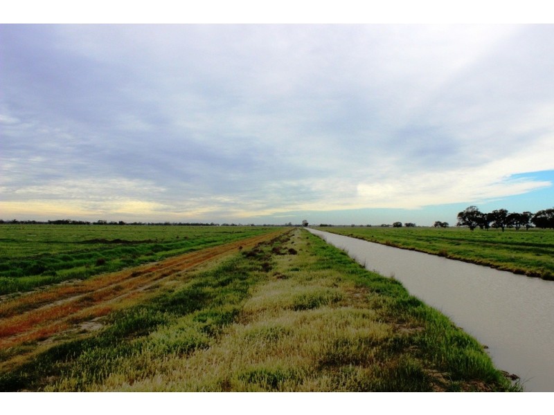 5960 Deniliquin Road, Barham NSW 2732