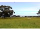 5960 Deniliquin Road, Barham NSW 2732