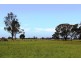 5960 Deniliquin Road, Barham NSW 2732