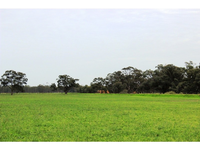 5960 Deniliquin Road, Barham NSW 2732