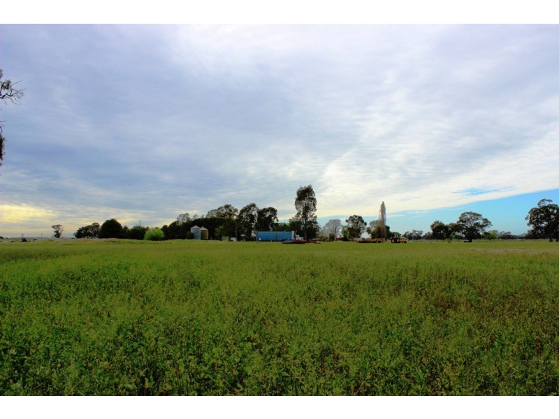5960 Deniliquin Road, Barham NSW 2732