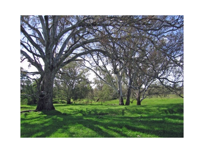 696 Upton Road, Avenel VIC 3664