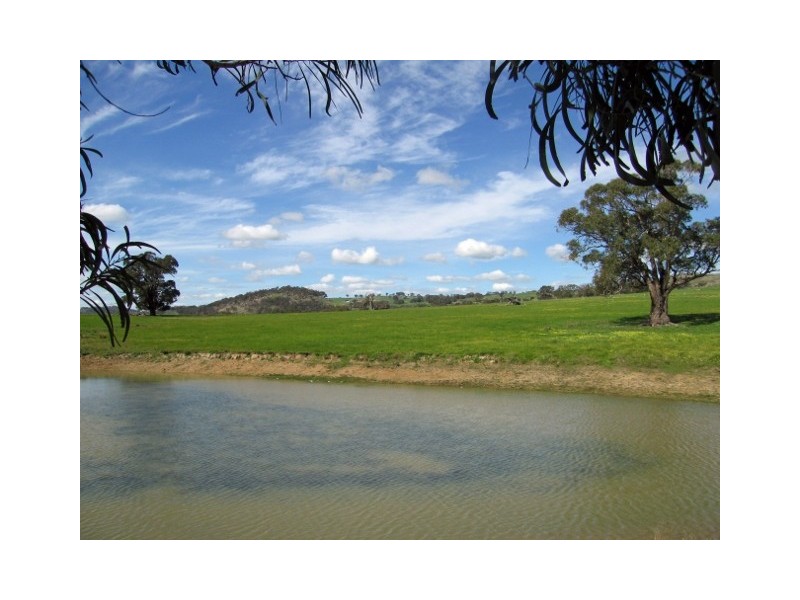 696 Upton Road, Avenel VIC 3664