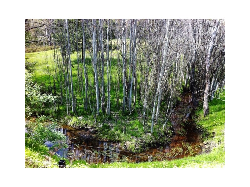 696 Upton Road, Avenel VIC 3664