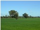 Nagambie VIC 3608