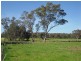 1 Longwood/Mansfield Road, Euroa VIC 3666