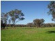 1 Longwood/Mansfield Road, Euroa VIC 3666