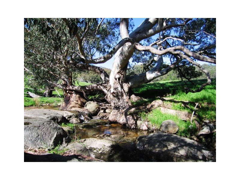 2 Gap Road Longwood East, Euroa VIC 3666