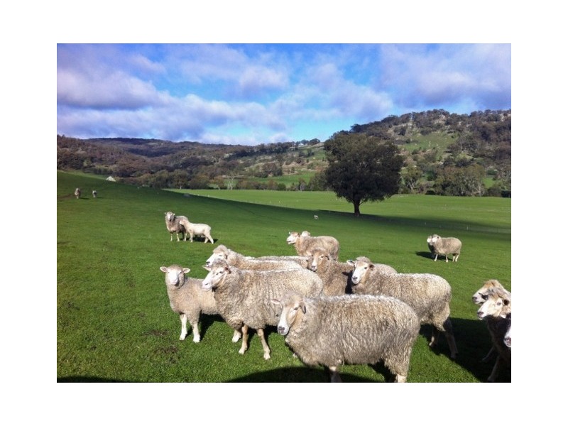 2 Gap Road Longwood East, Euroa VIC 3666