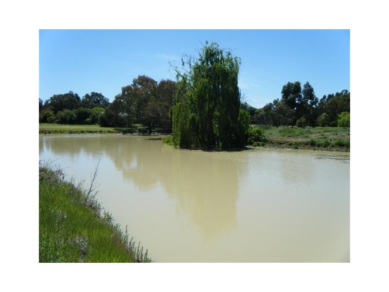 12 Riverview Crt, Echuca VIC 3564