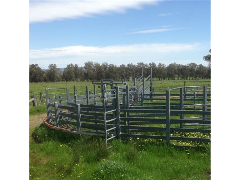 2050 Benalla-Tatong Road, Tatong VIC 3673