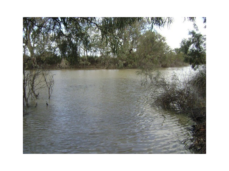 124 Hickey Lane, Benjeroop VIC 3579