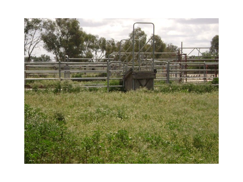 124 Hickey Lane, Benjeroop VIC 3579