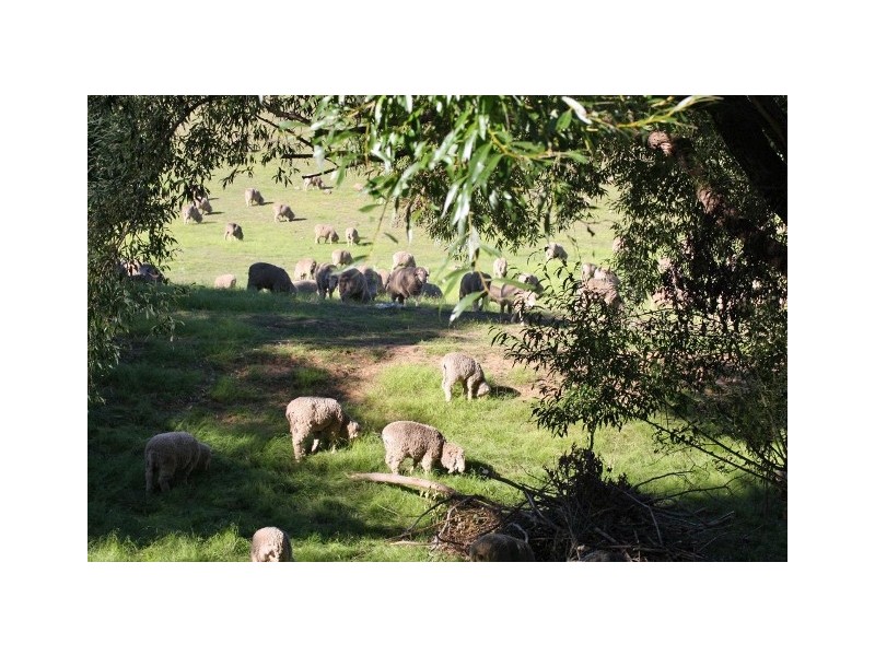 45 Jefferys Lane, Seymour VIC 3660