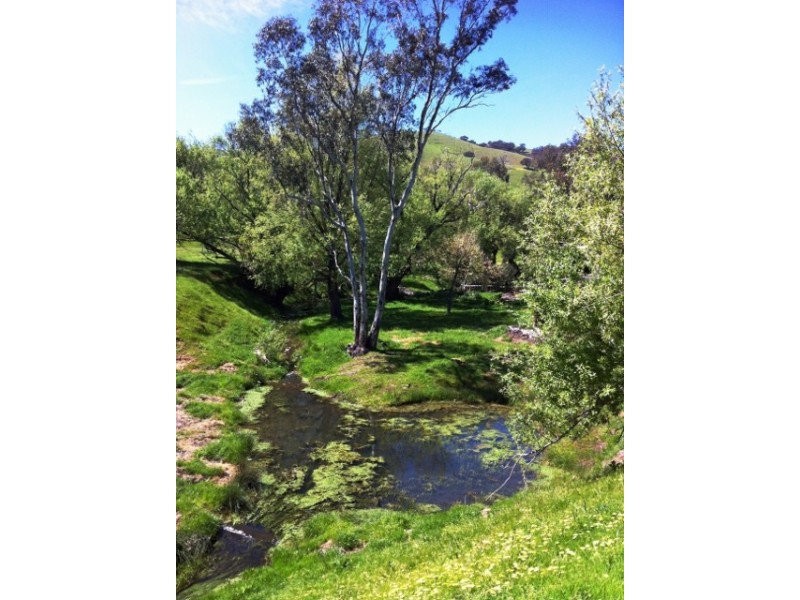 45 Jefferys Lane, Seymour VIC 3660